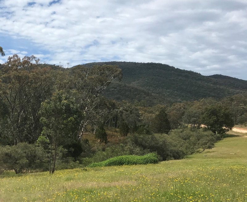 Stockyard Creek Track, Thologolong VIC 3691 Real Estate Industry Partners