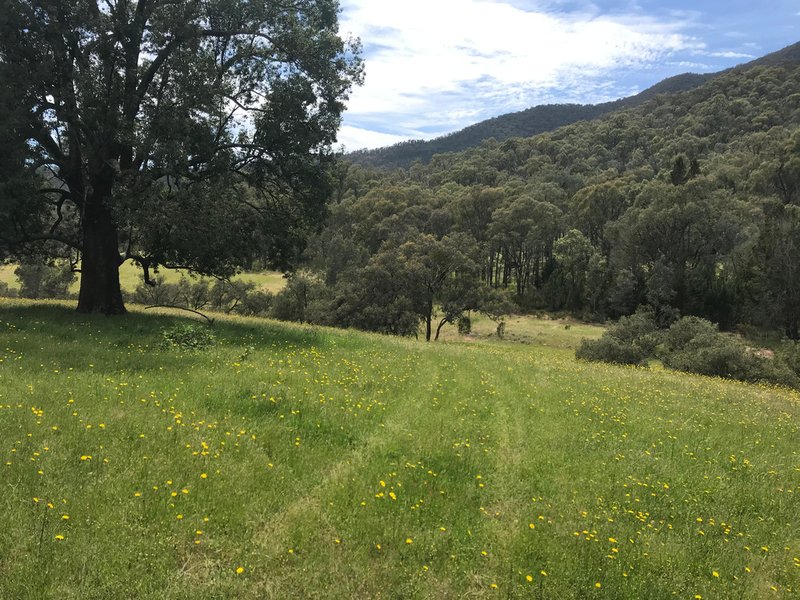 Stockyard Creek Track, Thologolong VIC 3691 Real Estate Industry Partners