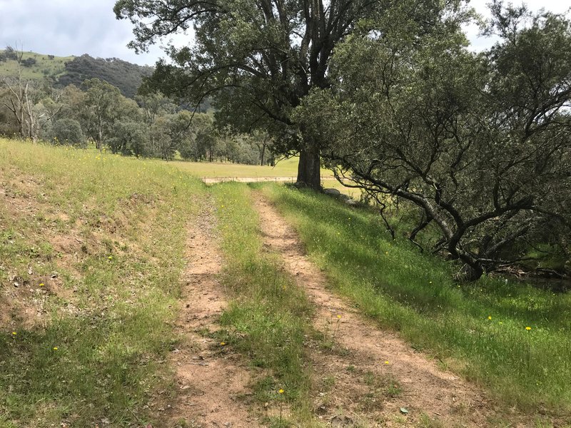 Stockyard Creek Track, Thologolong VIC 3691 Real Estate Industry Partners