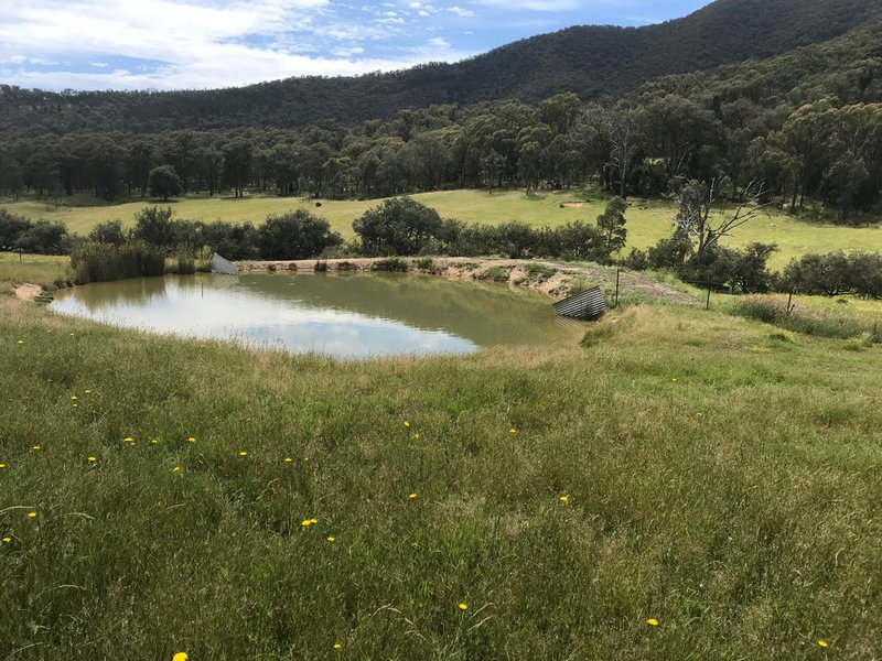 Stockyard Creek Track, Thologolong VIC 3691 Real Estate Industry Partners