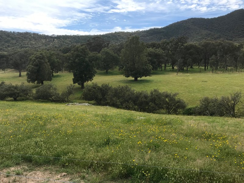 Stockyard Creek Track, Thologolong VIC 3691 Real Estate Industry Partners
