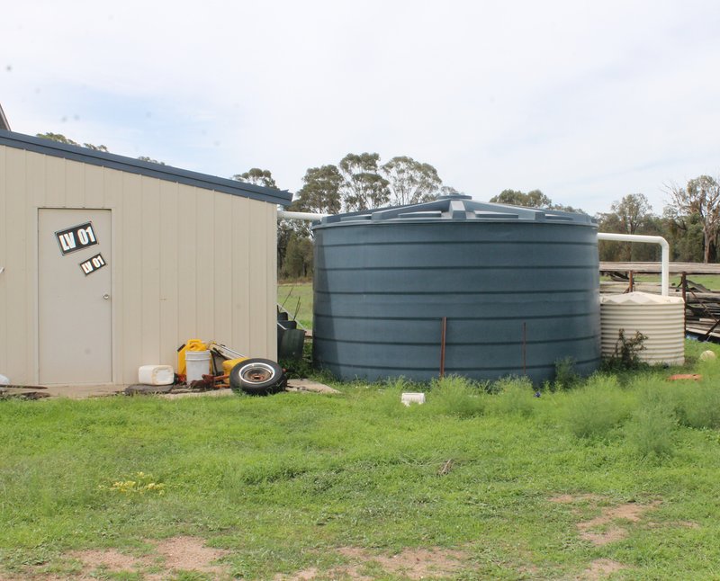 Photo - Stubbo NSW 2852 - Image 8