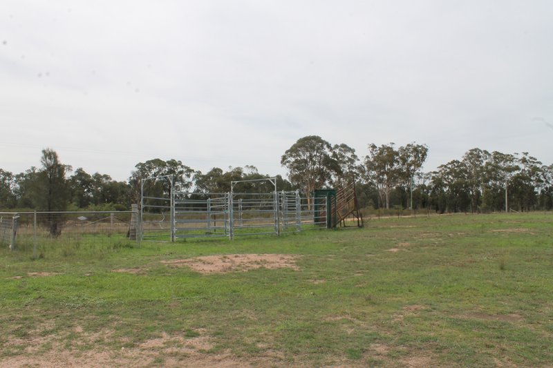 Photo - Stubbo NSW 2852 - Image 10