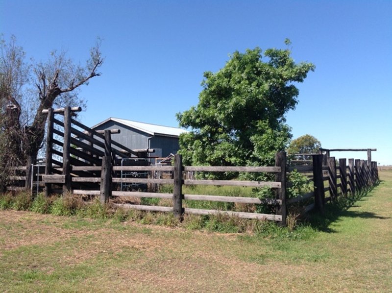 Photo - "Sundown" 905 Jeffries Road, West Prairie QLD 4403 - Image 11