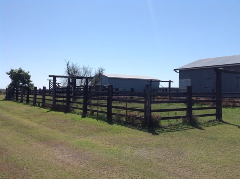 Photo - "Sundown" 905 Jeffries Road, West Prairie QLD 4403 - Image 12