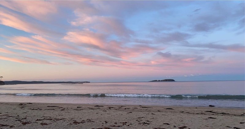 Surf Beach NSW 2536