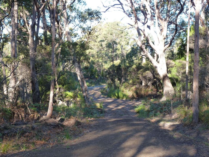 Photo - Surges Bay TAS 7116 - Image 11