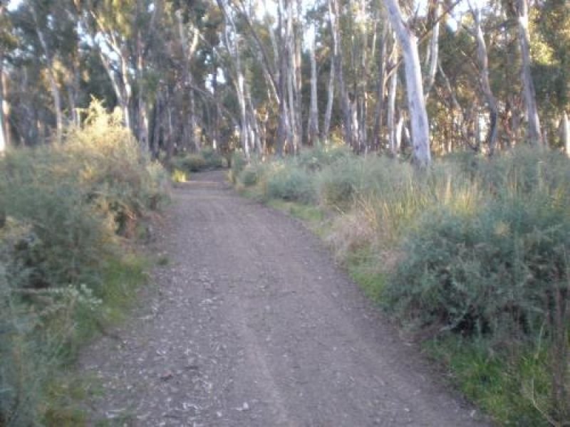 Photo - Swan Hill VIC 3585 - Image 3