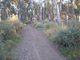 Photo - Swan Hill VIC 3585 - Image 3