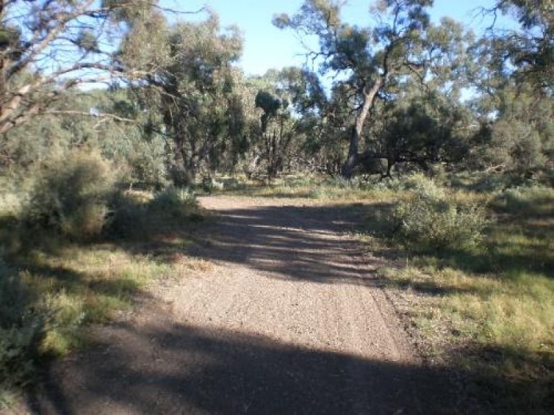 Photo - Swan Hill VIC 3585 - Image 5