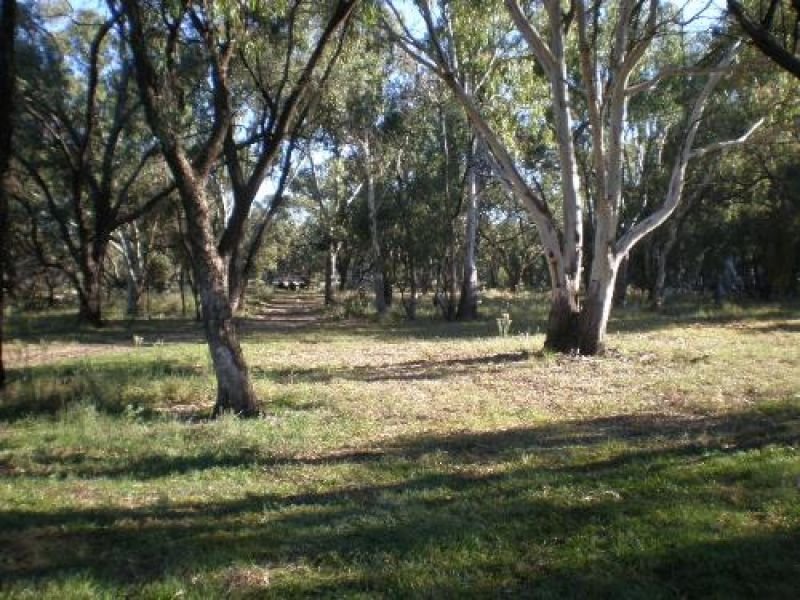 Photo - Swan Hill VIC 3585 - Image 8