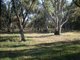 Photo - Swan Hill VIC 3585 - Image 8