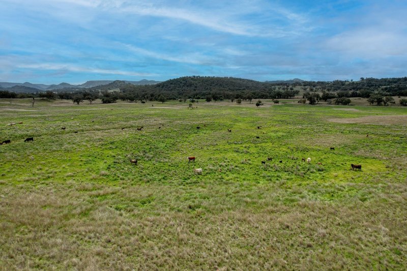 Photo - Tambar Springs NSW 2381 - Image 20