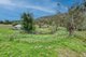 Photo - Tambar Springs NSW 2381 - Image 28