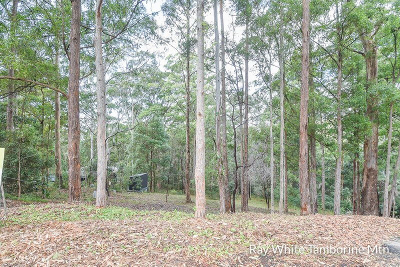 Tamborine Mountain QLD 4272