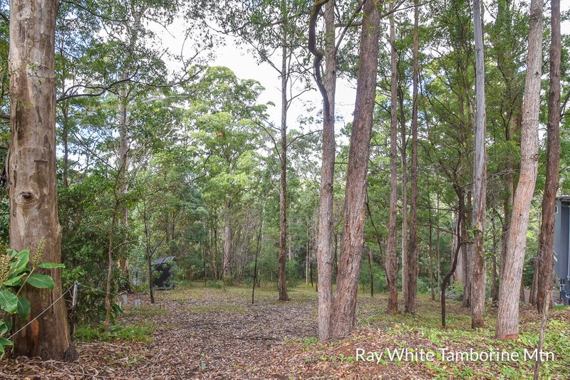 Photo - Tamborine Mountain QLD 4272 - Image 5