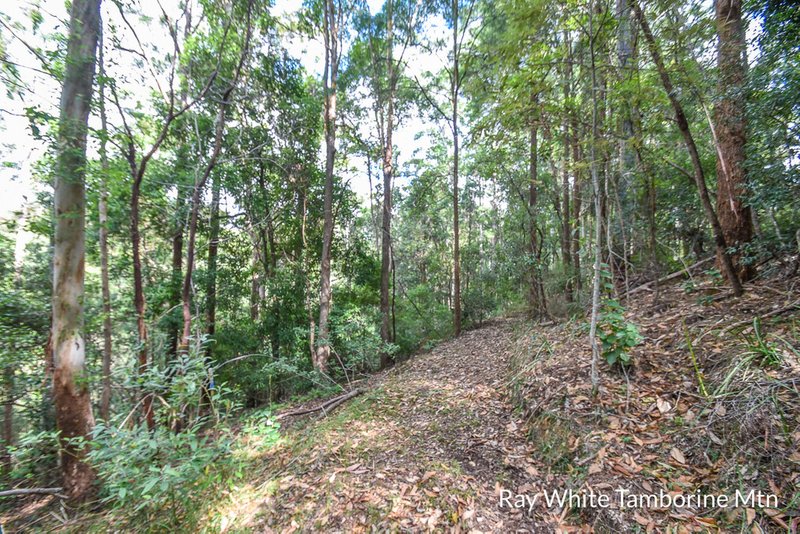 Photo - Tamborine Mountain QLD 4272 - Image 6