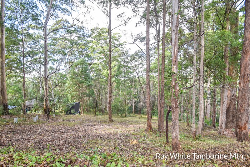 Photo - Tamborine Mountain QLD 4272 - Image 9