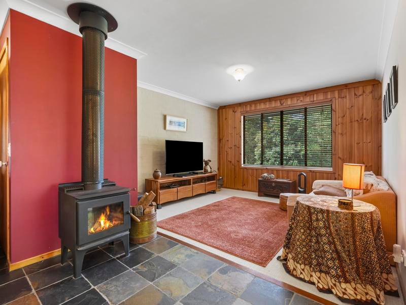 Photo - Tamborine Mountain QLD 4272 - Image 7