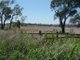 Photo - Tamworth NSW 2340 - Image 2