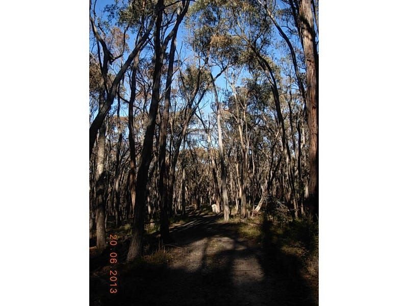 Photo - Taradale VIC 3447 - Image 7