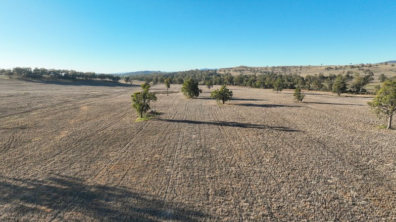 Tarwarri Lindsay'S Gap Road, Tamworth NSW 2340