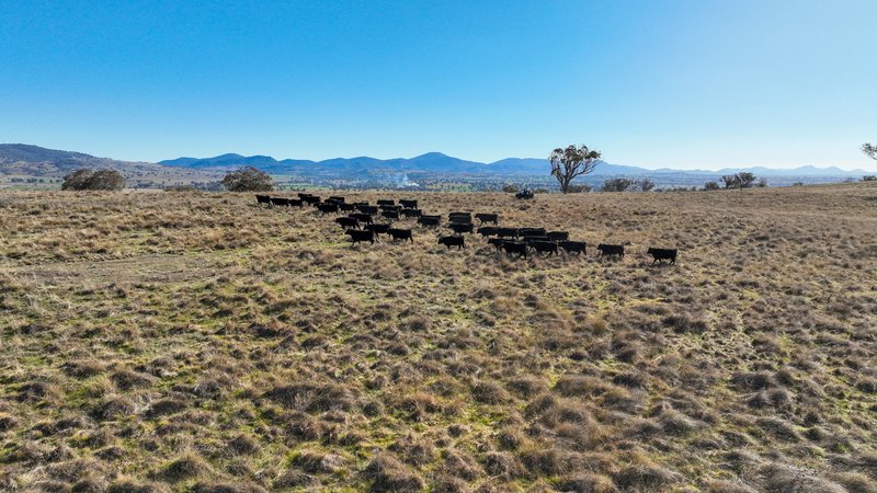 Photo - Tarwarri Lindsay'S Gap Road, Tamworth NSW 2340 - Image 7