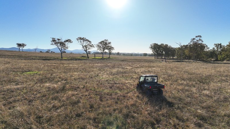 Photo - Tarwarri Lindsay'S Gap Road, Tamworth NSW 2340 - Image 19