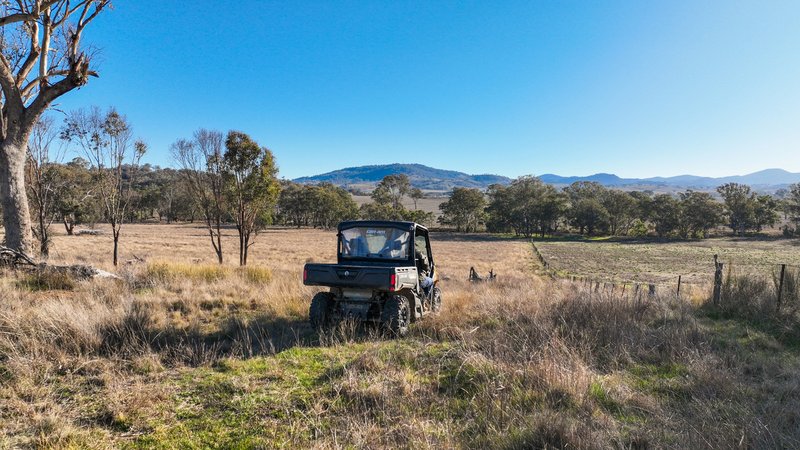 Photo - Tarwarri Lindsay'S Gap Road, Tamworth NSW 2340 - Image 20