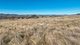 Photo - Tarwarri Lindsay'S Gap Road, Tamworth NSW 2340 - Image 21