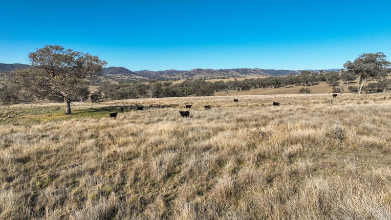 Photo - Tarwarri Lindsay'S Gap Road, Tamworth NSW 2340 - Image 22