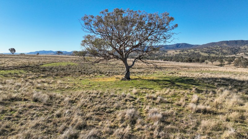 Photo - Tarwarri Lindsay'S Gap Road, Tamworth NSW 2340 - Image 24