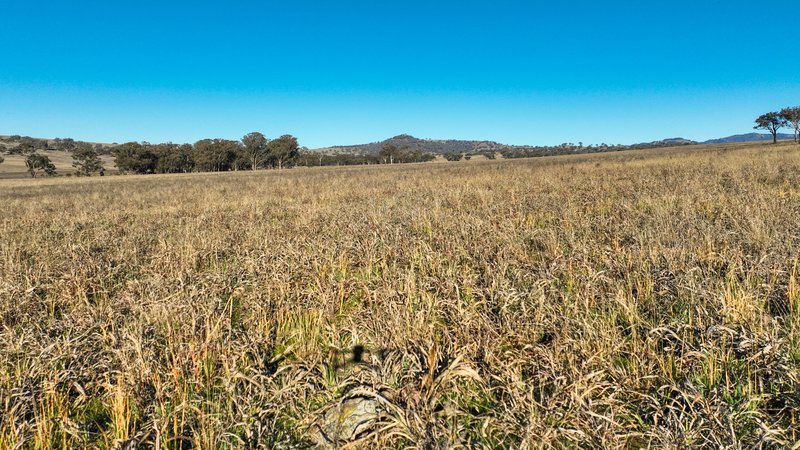 Photo - Tarwarri Lindsay'S Gap Road, Tamworth NSW 2340 - Image 26