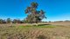 Photo - Tarwarri Lindsay'S Gap Road, Tamworth NSW 2340 - Image 27