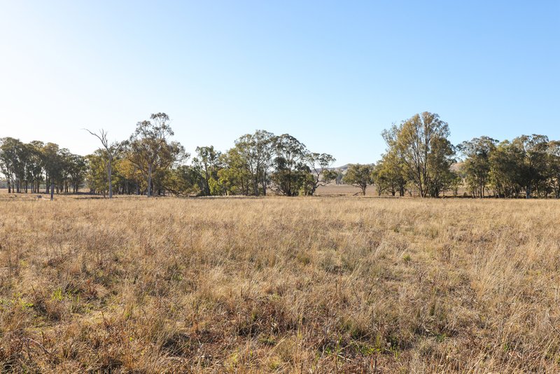 Photo - Tarwarri Lindsay'S Gap Road, Tamworth NSW 2340 - Image 29