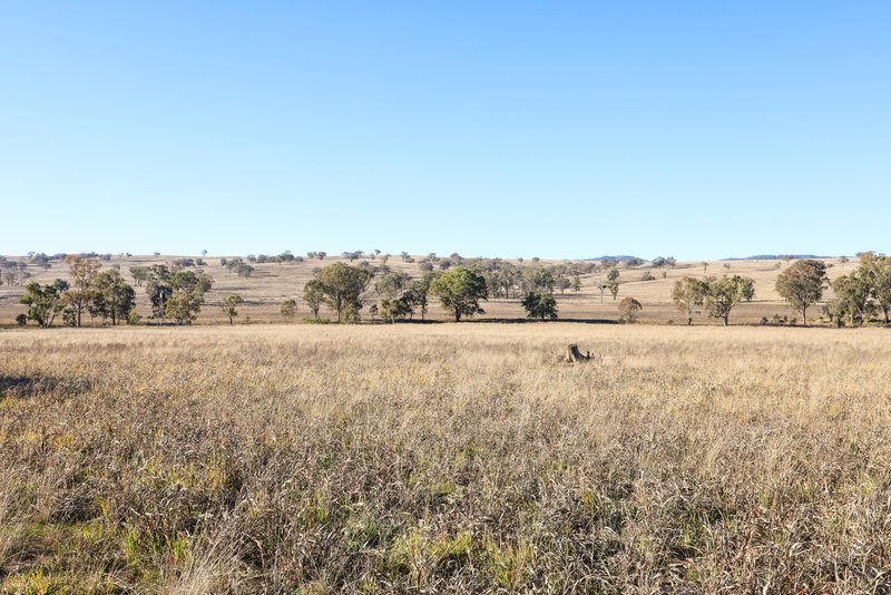 Photo - Tarwarri Lindsay'S Gap Road, Tamworth NSW 2340 - Image 30