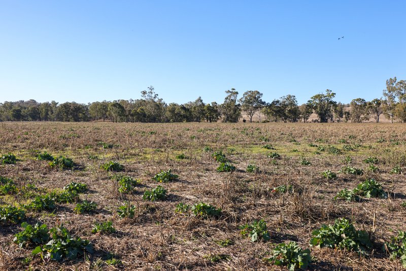 Photo - Tarwarri Lindsay'S Gap Road, Tamworth NSW 2340 - Image 31