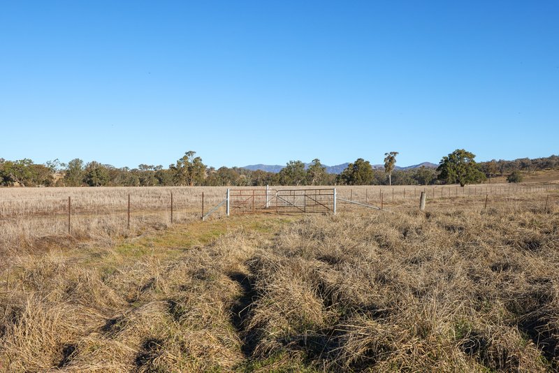 Photo - Tarwarri Lindsay'S Gap Road, Tamworth NSW 2340 - Image 32