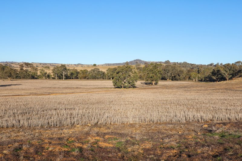 Photo - Tarwarri Lindsay'S Gap Road, Tamworth NSW 2340 - Image 33