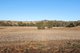 Photo - Tarwarri Lindsay'S Gap Road, Tamworth NSW 2340 - Image 33