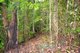 Photo - Tarzali QLD 4885 - Image 2