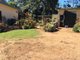 Photo - Tarzali QLD 4885 - Image 12