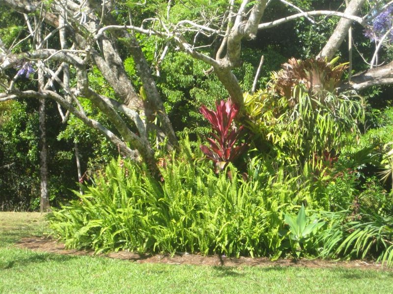 Photo - Tarzali QLD 4885 - Image 13