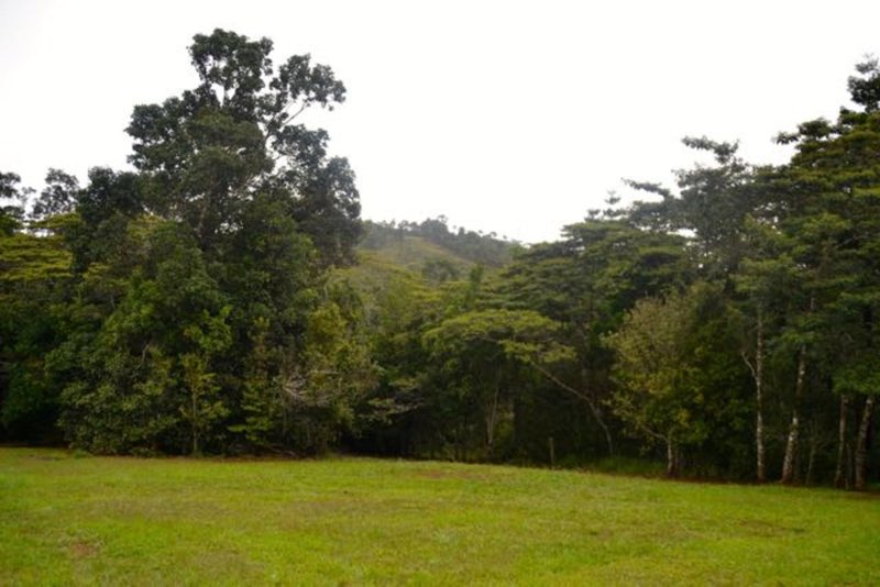 Photo - Tarzali QLD 4885 - Image 16