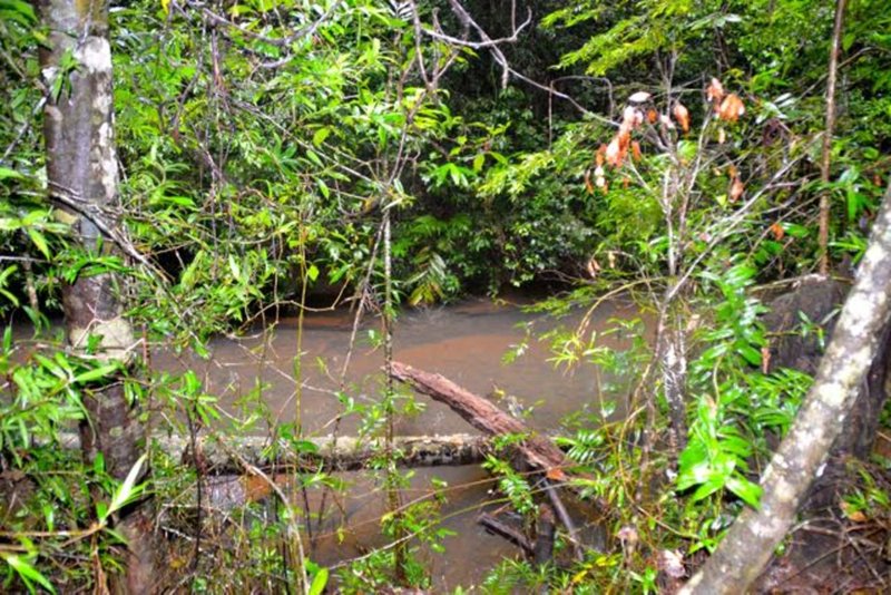 Photo - Tarzali QLD 4885 - Image 17