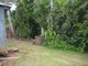 Photo - Tarzali QLD 4885 - Image 18