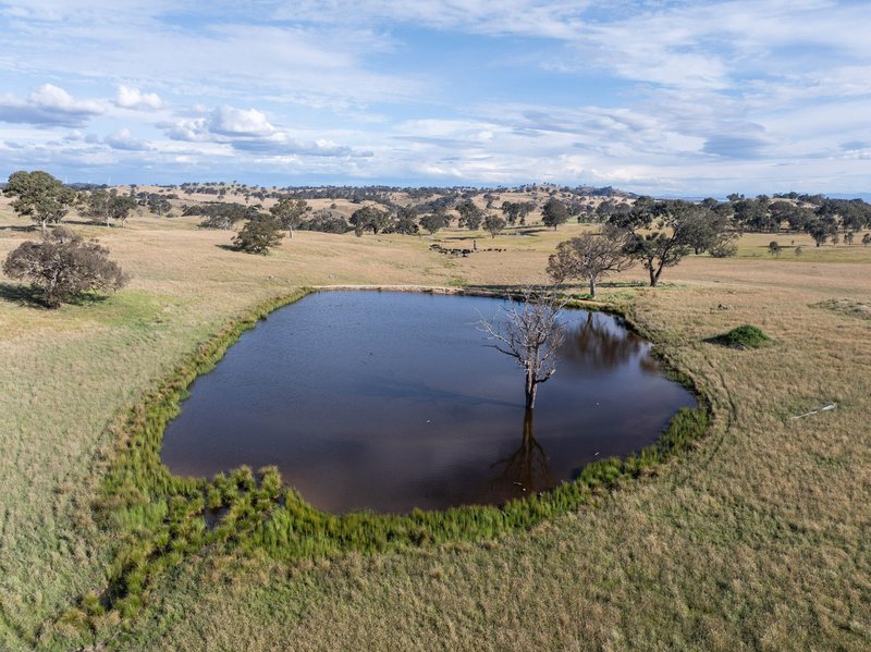 Photo - "Ten Mile" 1296 Wargeila Road, Yass NSW 2582 - Image 23