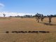 Photo - "Ten Mile" 1296 Wargeila Road, Yass NSW 2582 - Image 26