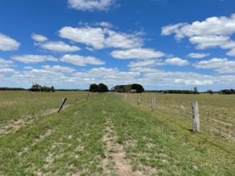 Photo - Terang VIC 3264 - Image 5