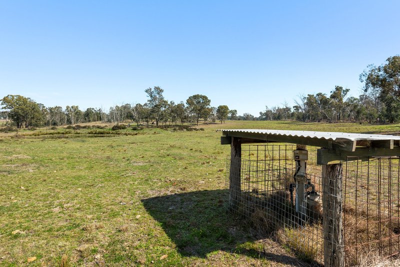 Photo - "Thane House" 102 Mount Gammie Road, Thanes Creek QLD 4370 - Image 28